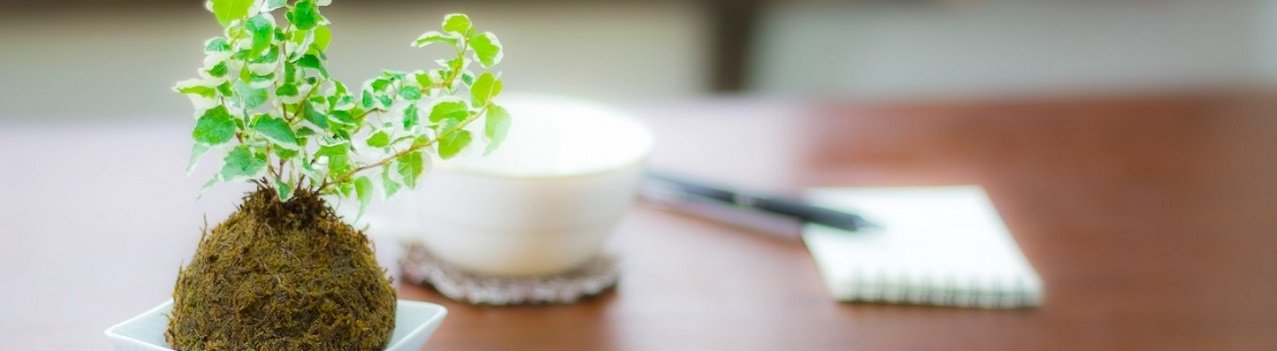 天然石ワイヤーアクセサリー教室 Hoshino stone