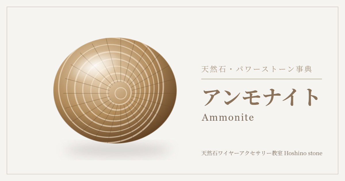 アンモナイトのイラスト